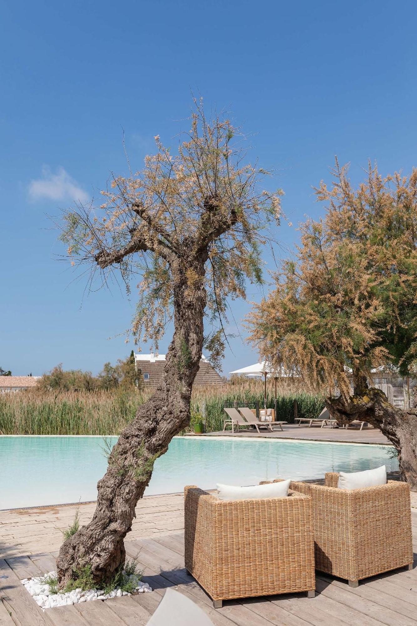 Hotel Restaurant Les Arnelles Saintes-Maries-de-la-Mer Buitenkant foto